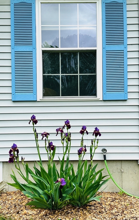 21 Pantry Rd