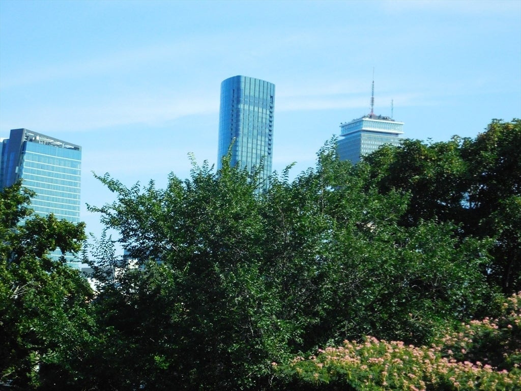 41 Greenwich St, Boston, MA Photo #23