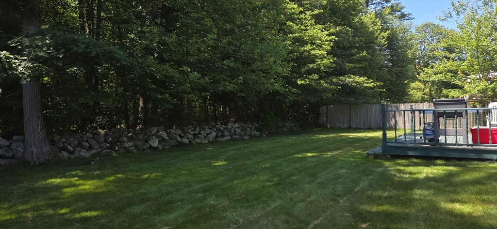 55 Vinedale Rd