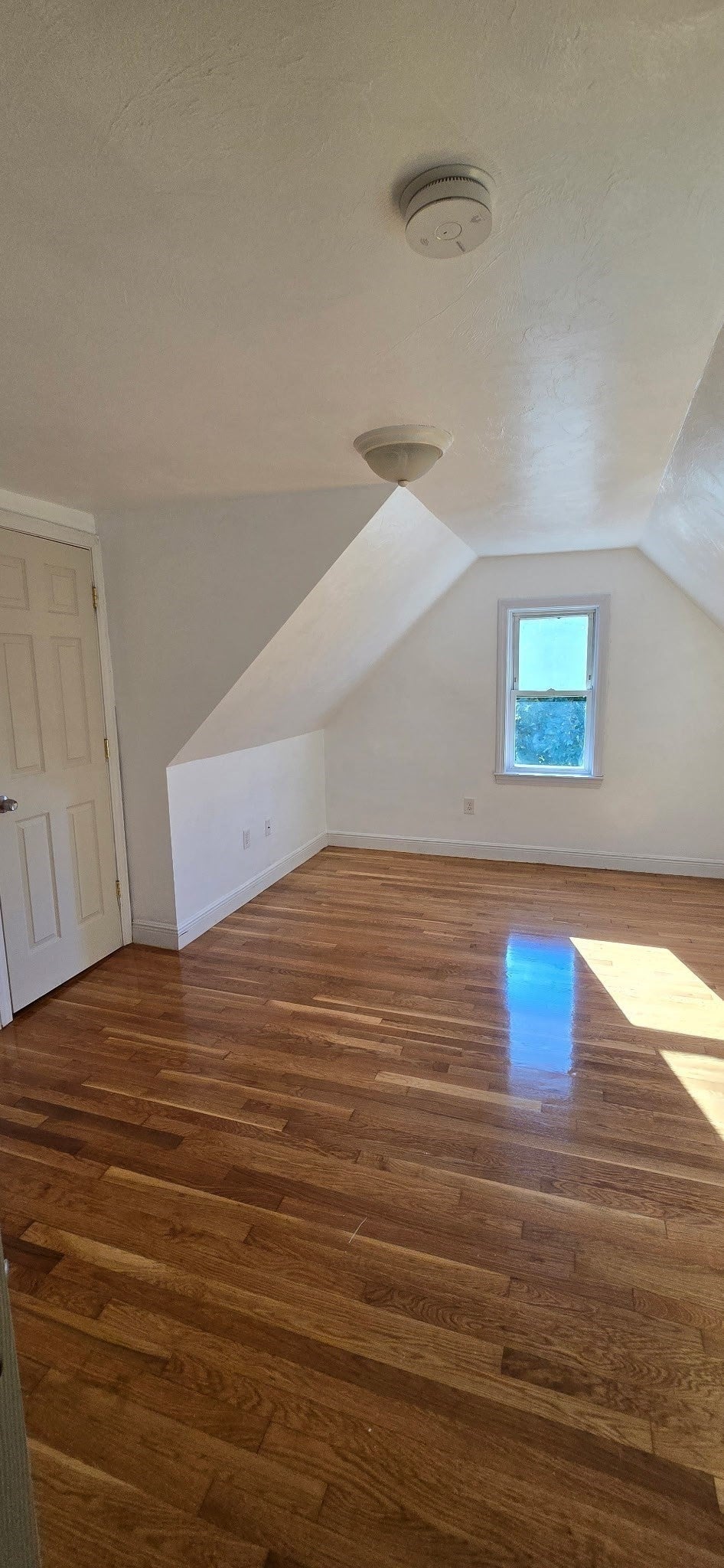 376 Ferry St, Everett, MA, 376 Ferry St, Everett, MA Photo #16