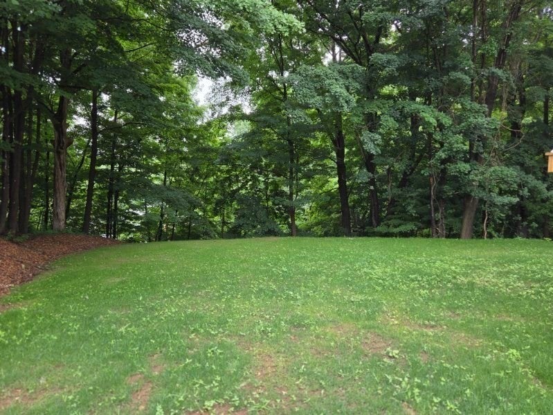 71 Pine St #B, Warren, MA, 71 Pine St #B, Warren, MA Photo #34