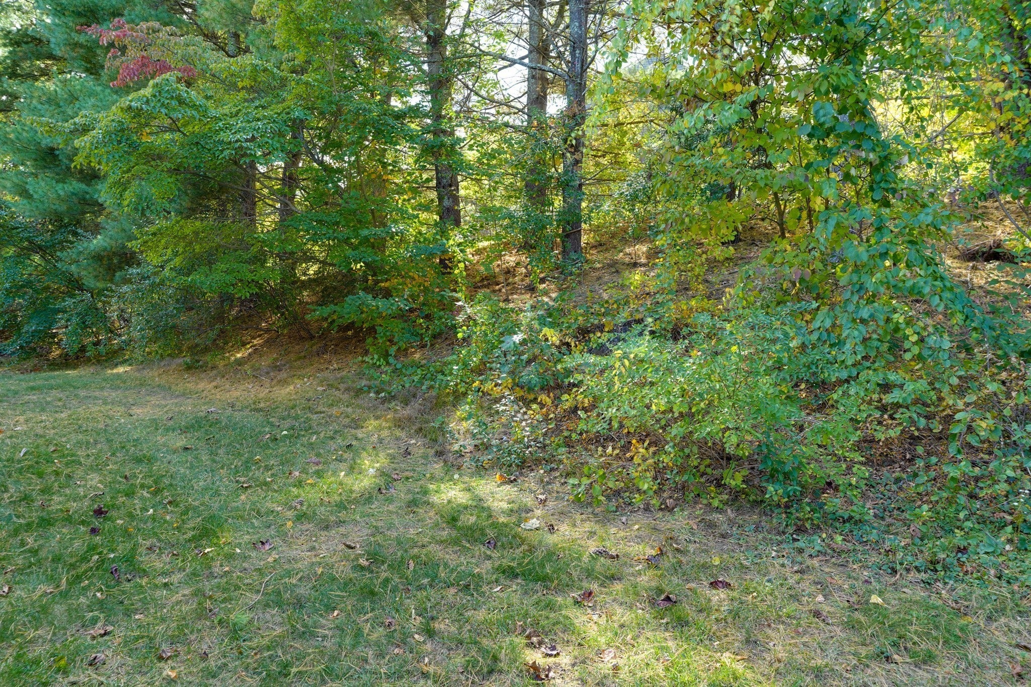 153 Laurelwood Drive #153, Hopedale, MA, 153 Laurelwood Drive #153, Hopedale, MA Photo #5