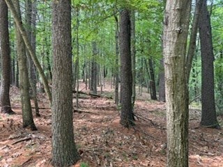 Lot B Willow Road