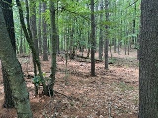 Lot B Willow Road