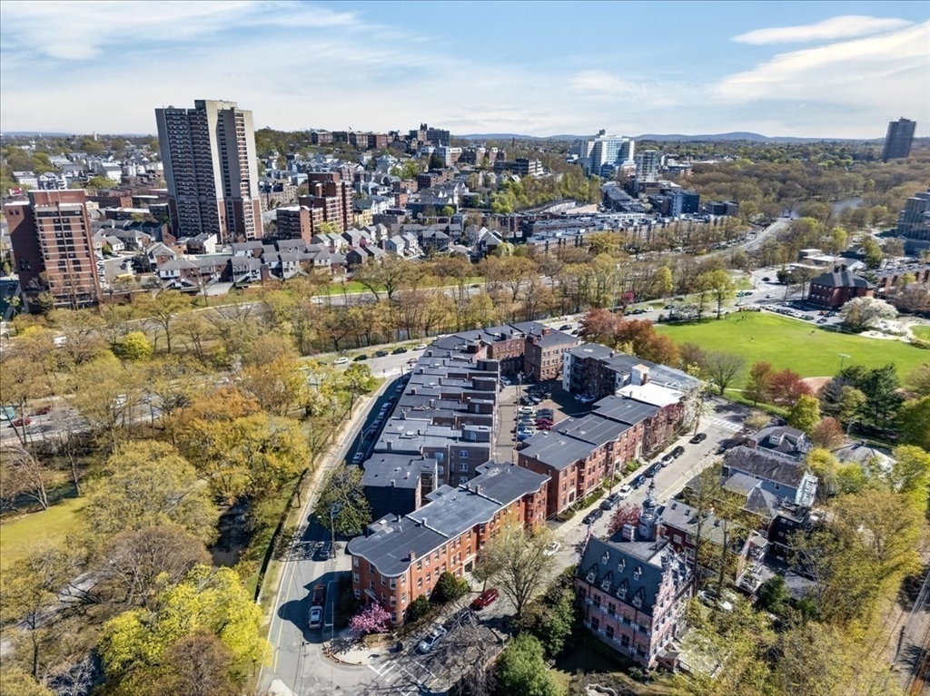 23 Netherlands Rd #1, Brookline, MA, 23 Netherlands Rd #1, Brookline, MA Photo #34