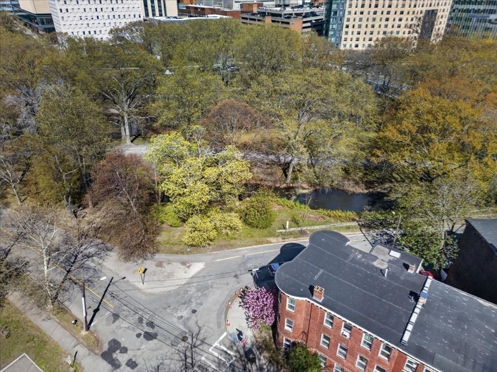 23 Netherlands Rd #1, Brookline, MA, 23 Netherlands Rd #1, Brookline, MA Photo #33