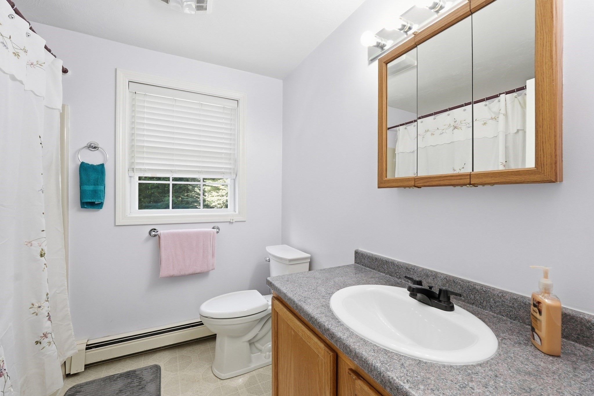 6 Conservation Drive, Douglas, MA, 6 Conservation Drive, Douglas, MA Photo #26