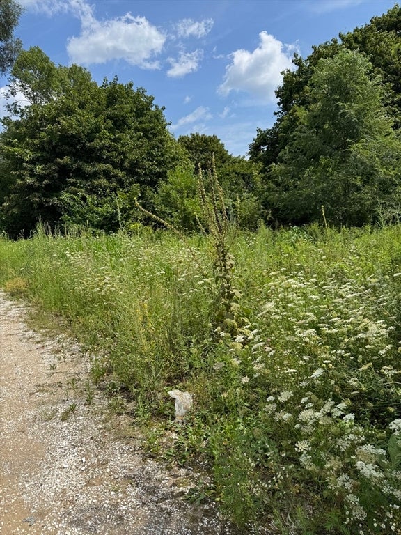 203R Providence St. Bldr. Lot 6