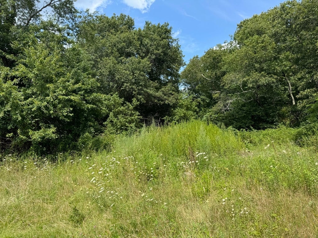 203R Providence St. Bldr. Lot 6