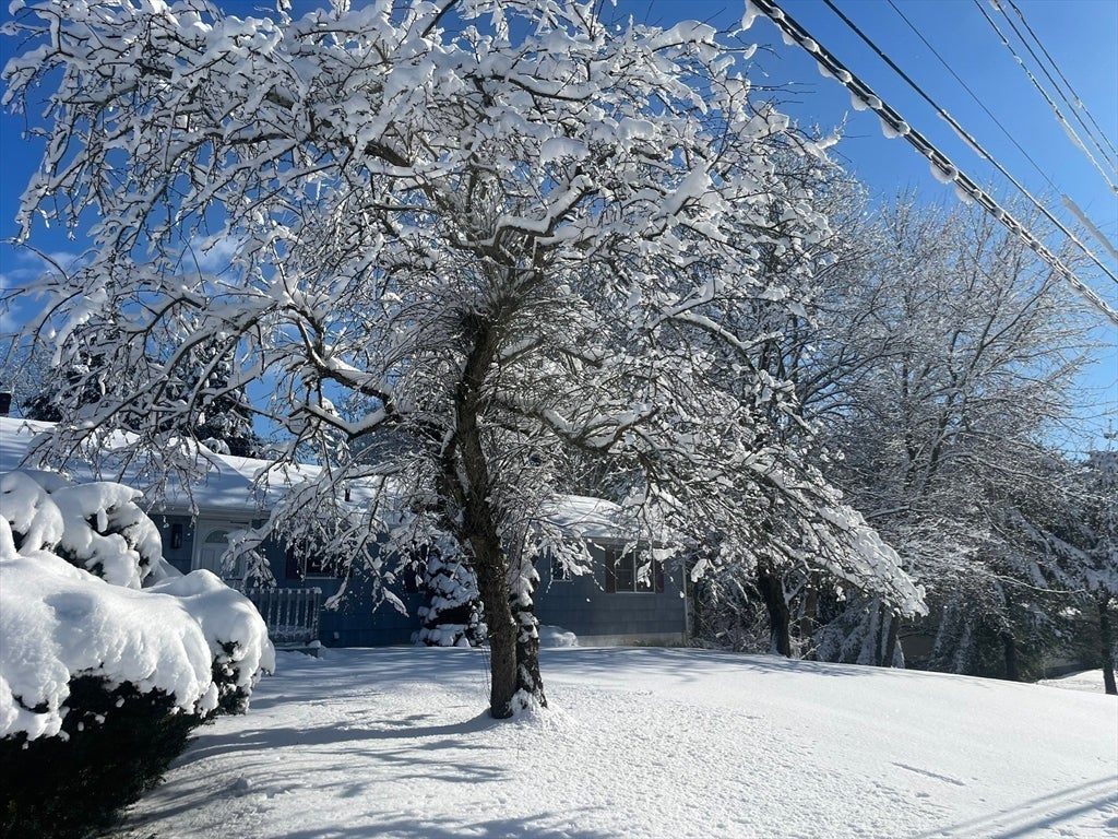 145 Baldwin Ave, Framingham, MA Photo #33