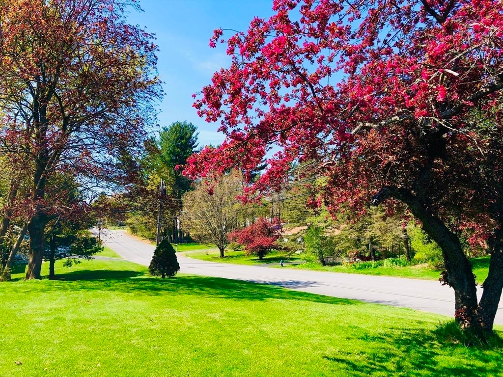 145 Baldwin Ave, Framingham, MA Photo #34
