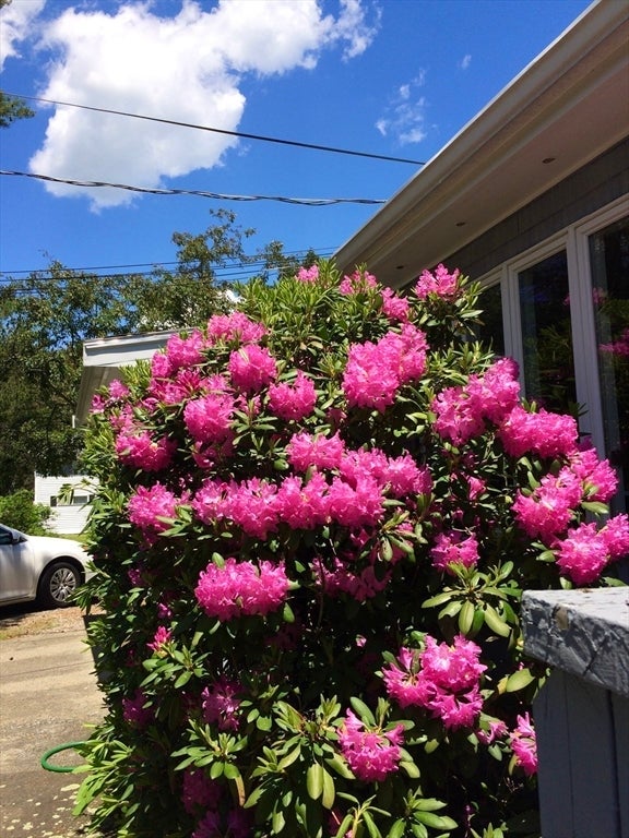145 Baldwin Ave, Framingham, MA Photo #35