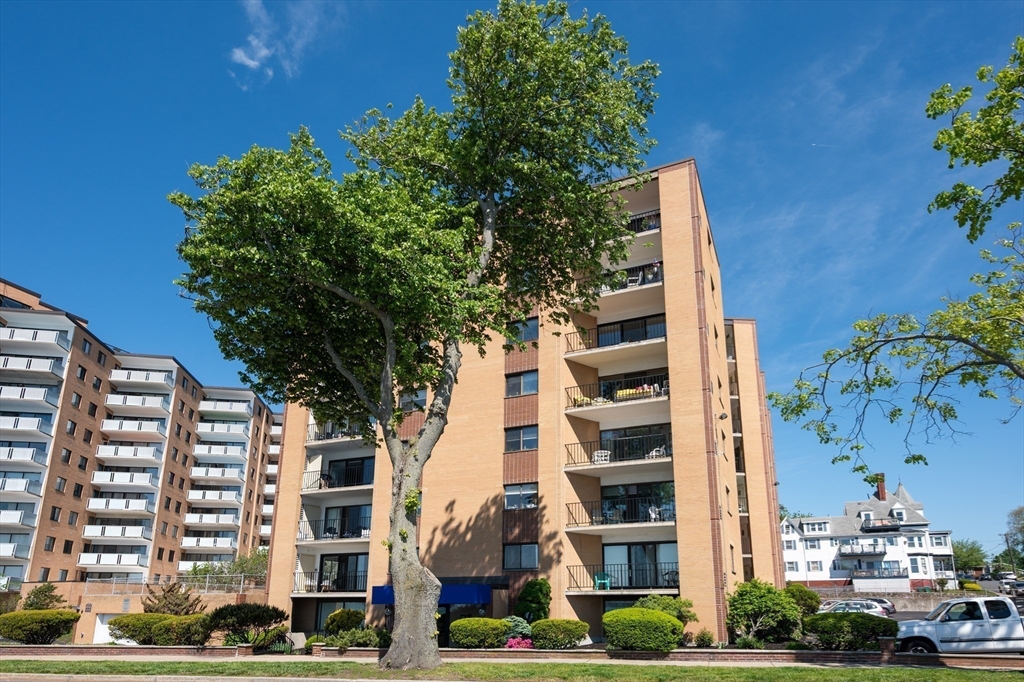 295 Lynnshore 705