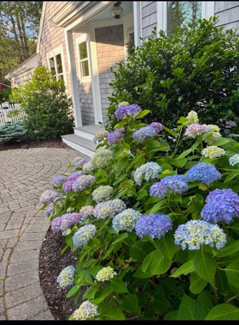 Photo of 18 Kates Glen #18, Plymouth, MA 02360 (MLS # 73490553)