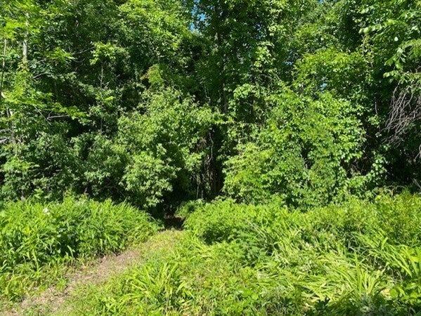 280 & 290 Spring Road