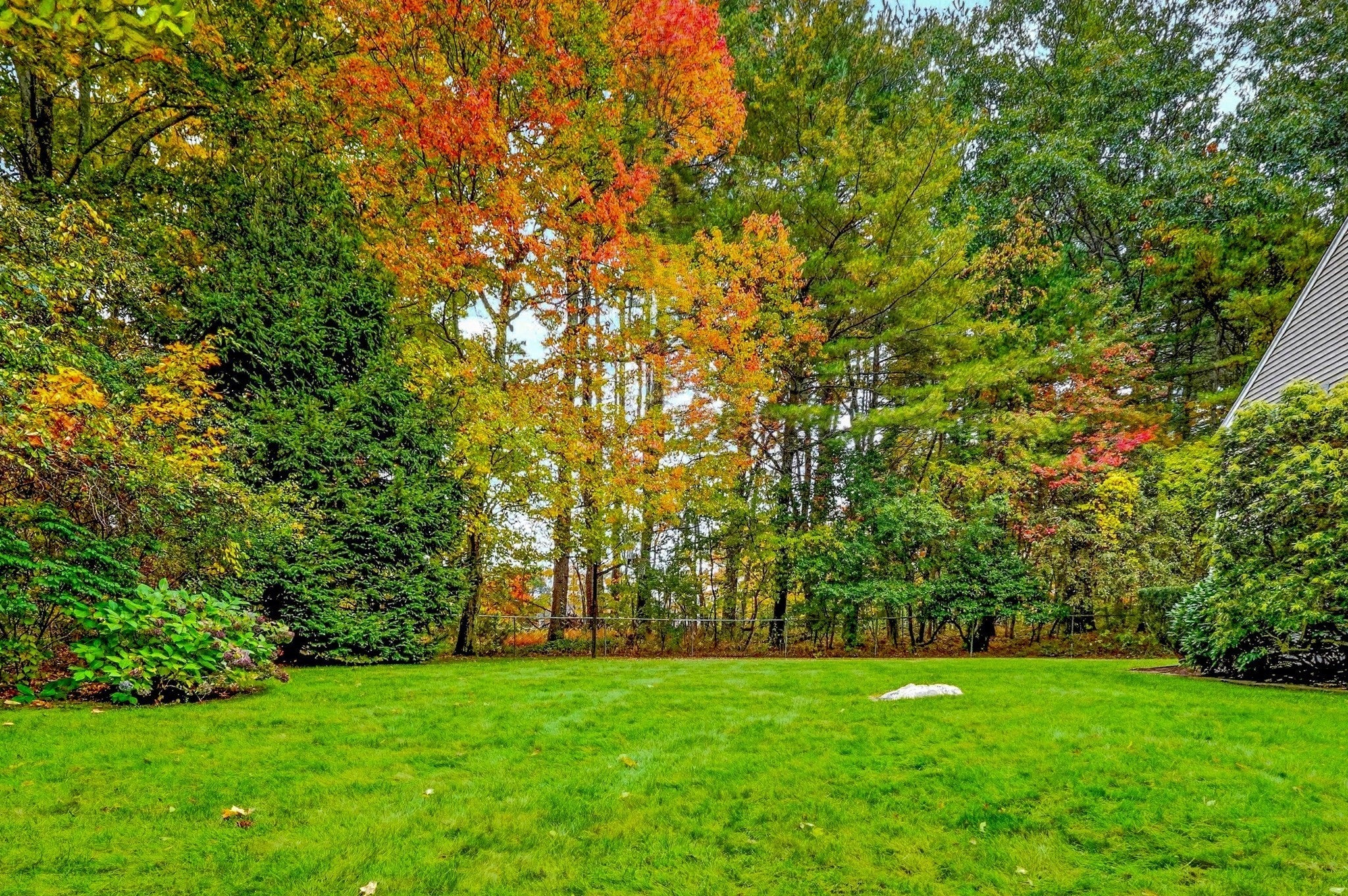 13 Cedar Lane, Medfield, MA, 13 Cedar Lane, Medfield, MA Photo #33