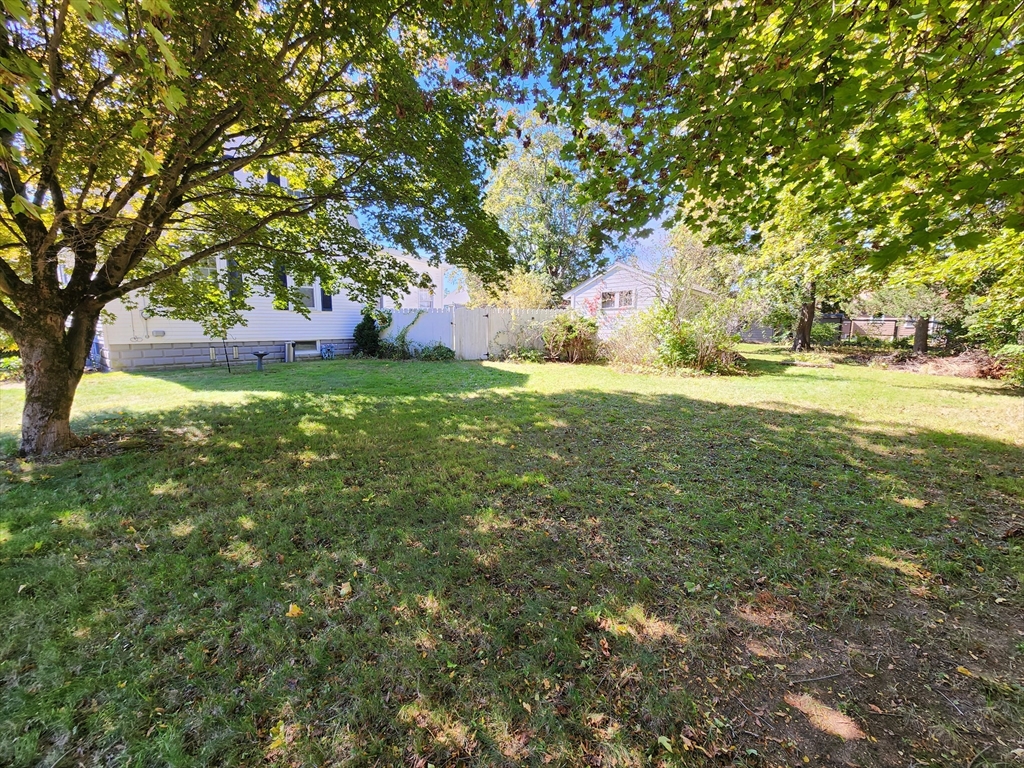 17 Davis St