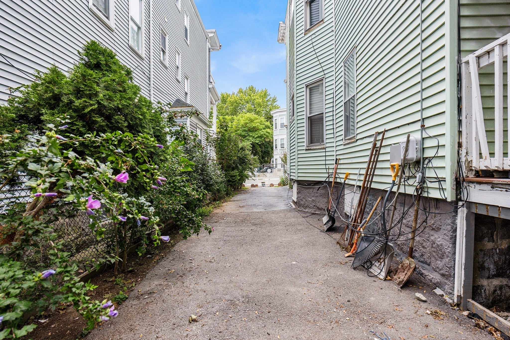 374 Geneva Ave, Boston, MA Photo #38