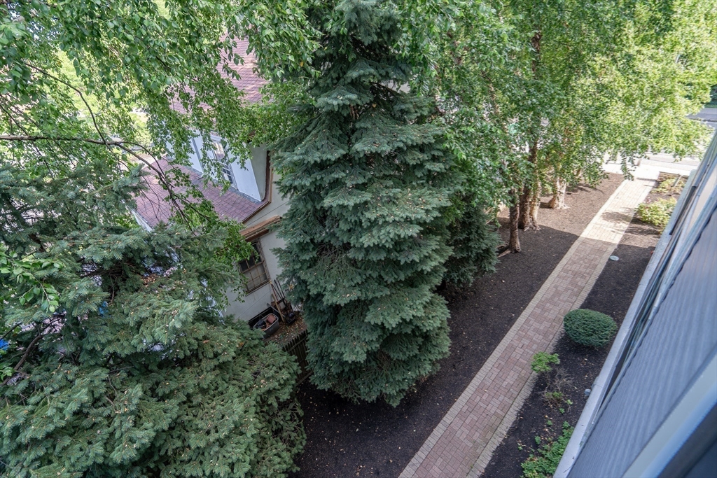 773 Concord Ave #302, Cambridge, MA, 773 Concord Ave #302, Cambridge, MA Photo #21