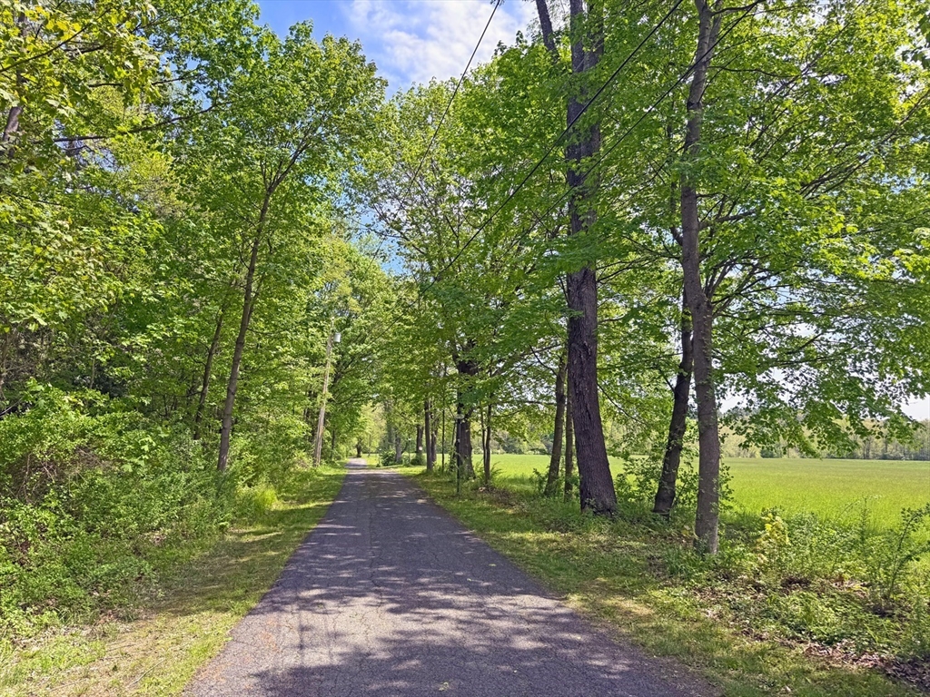 187 Plain Road