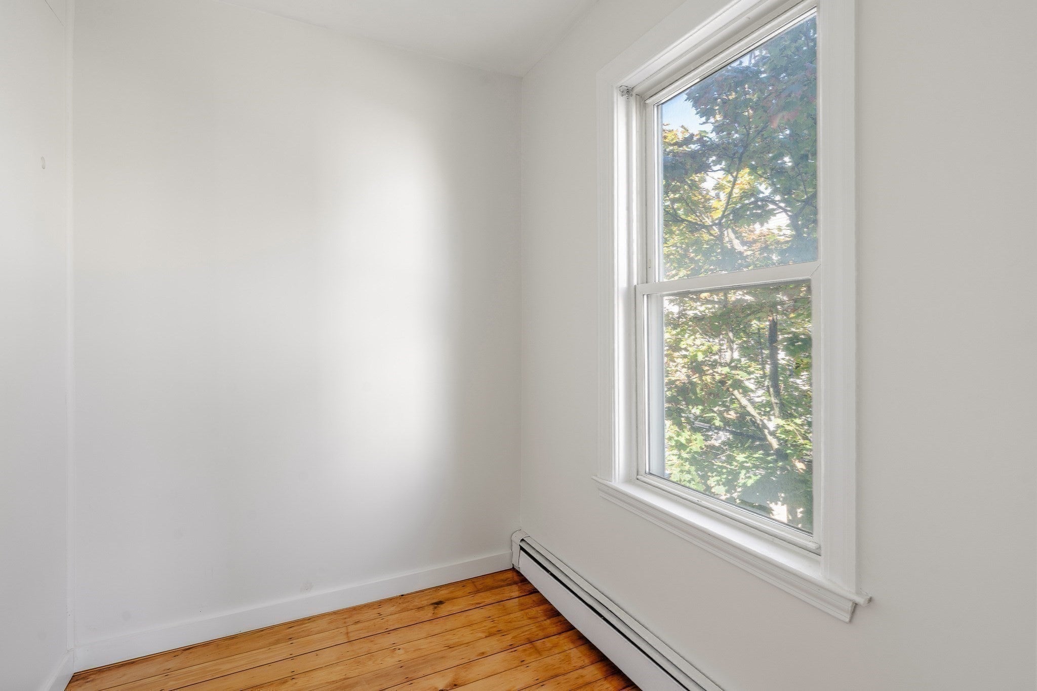 26 Plymouth St #2, Cambridge, MA, 26 Plymouth St #2, Cambridge, MA Photo #14