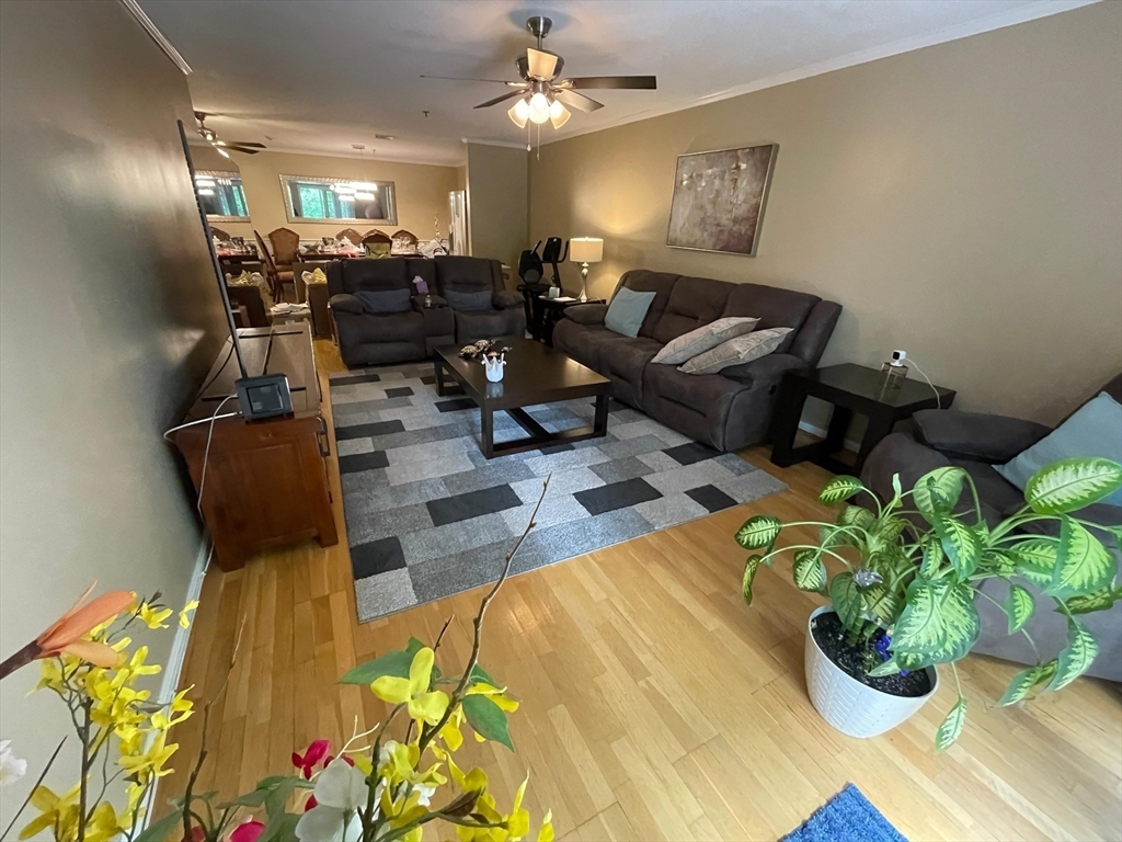 13 Dallas Dr 308