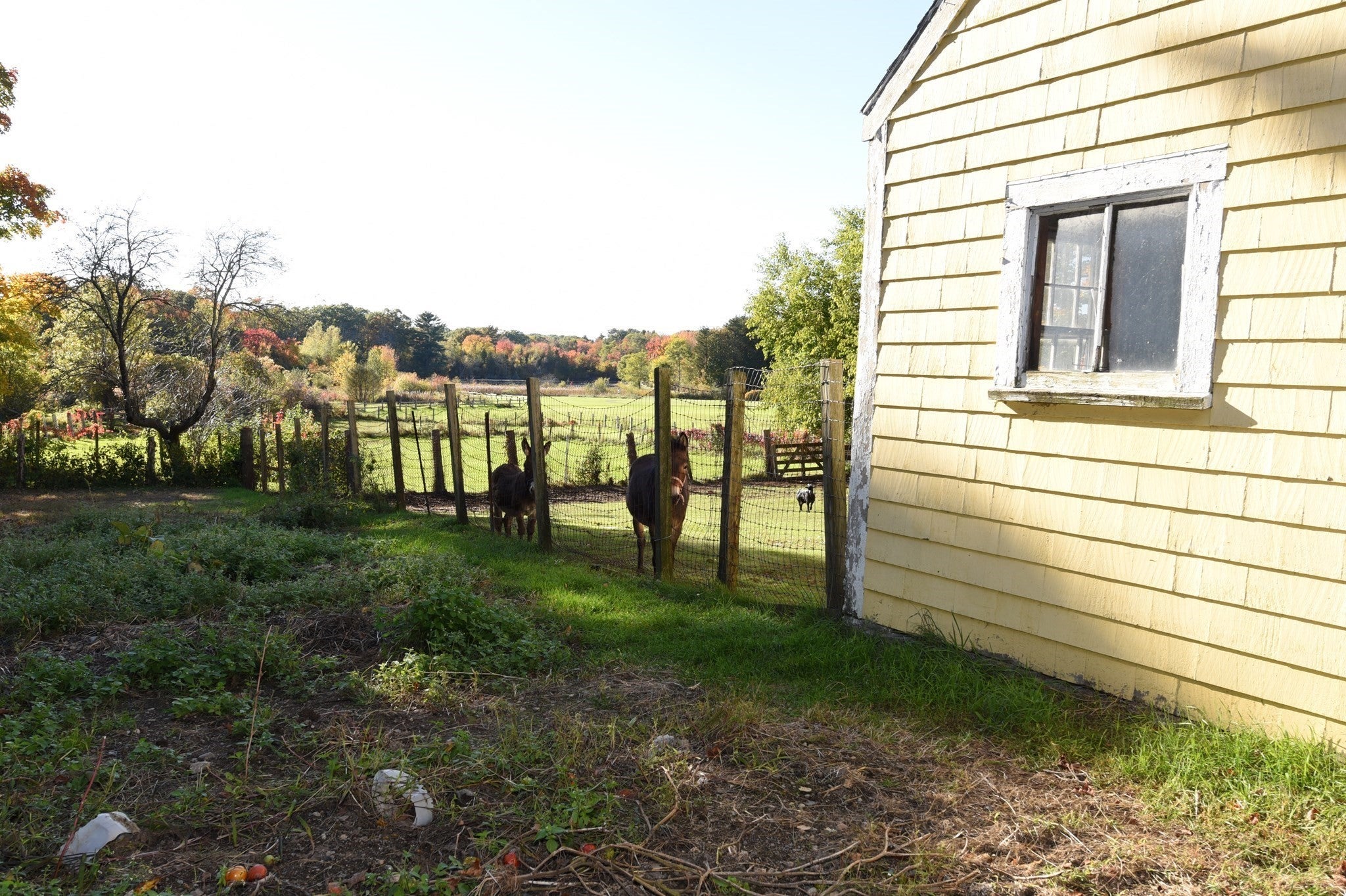 558 N Main St, Randolph, MA, 558 N Main St, Randolph, MA Photo #11