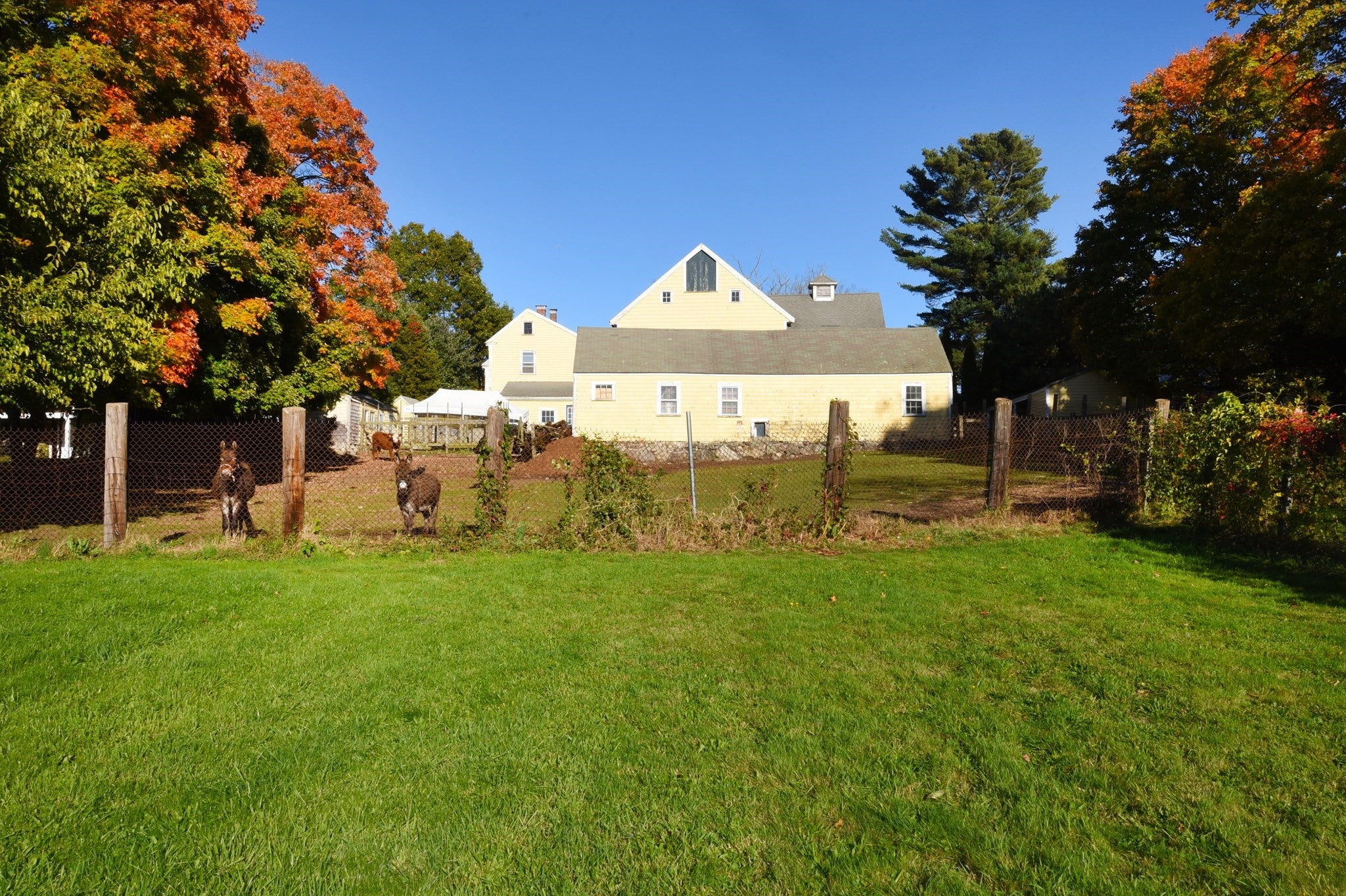 558 N Main St, Randolph, MA, 558 N Main St, Randolph, MA Photo #17