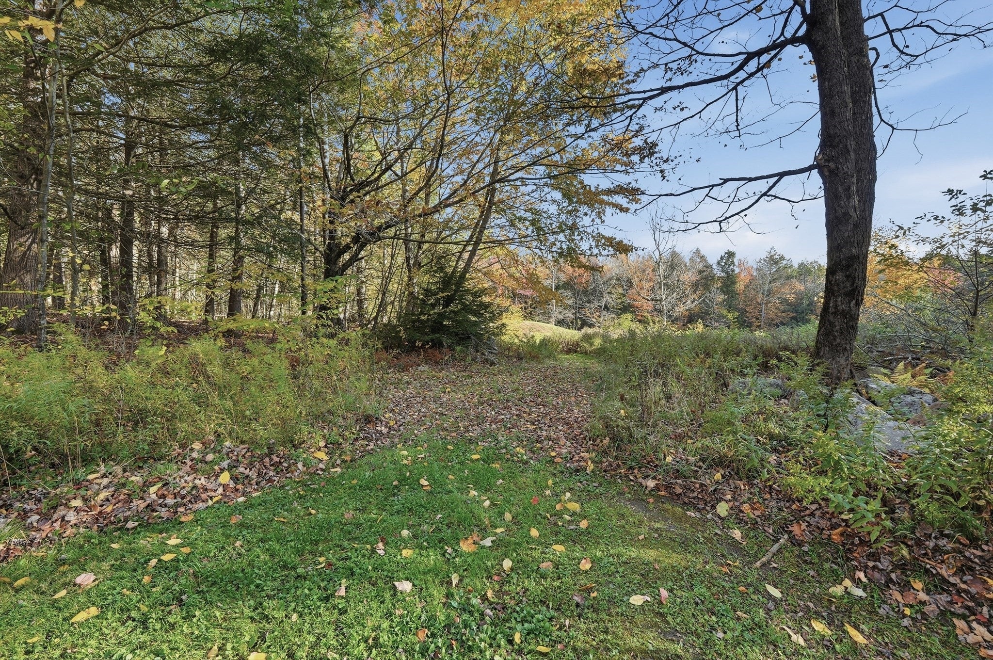 66 Fuller Rd, Chesterfield, MA Photo #7