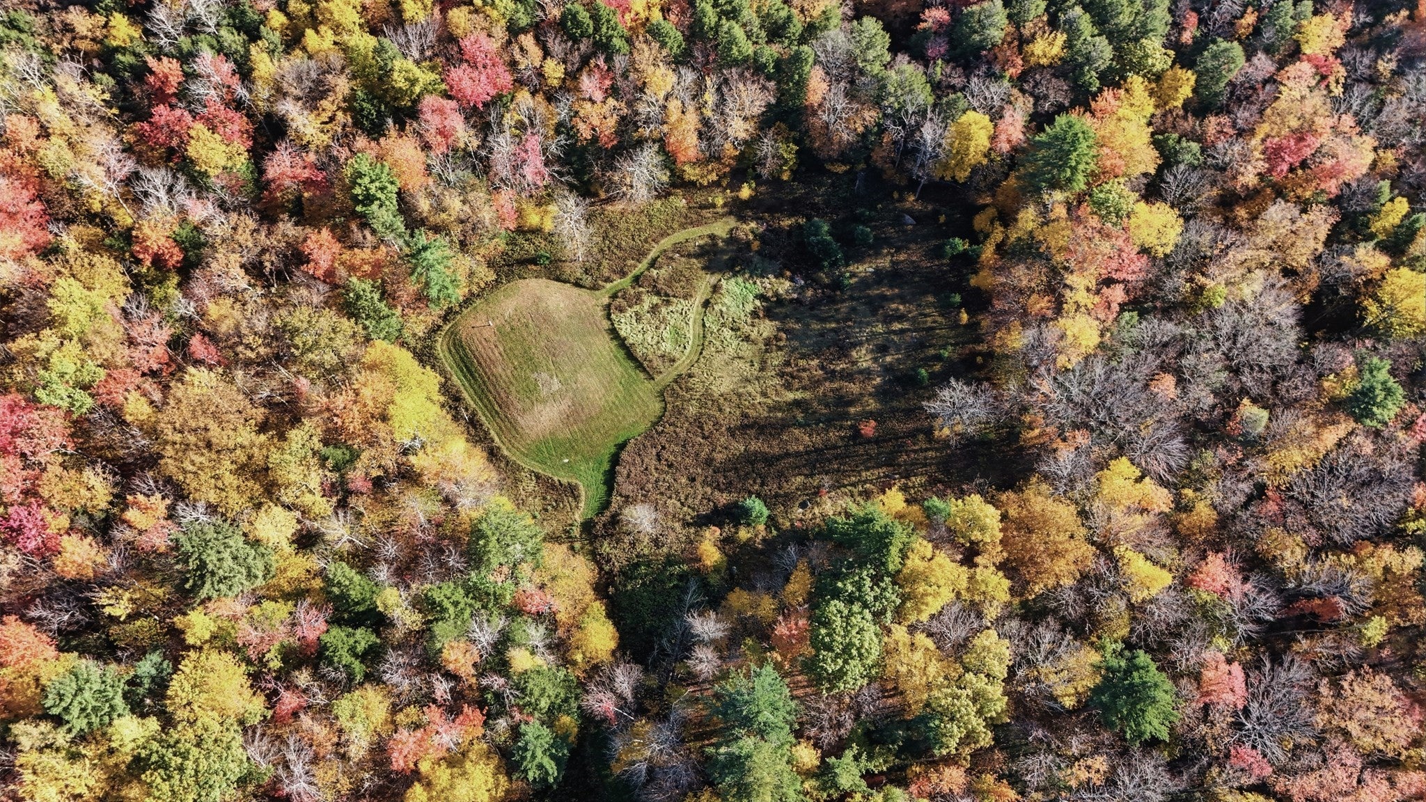 66 Fuller Rd, Chesterfield, MA Photo #34