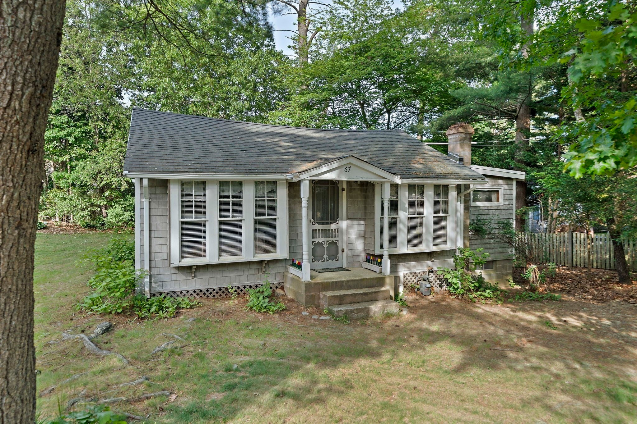 67 Priscilla Ave