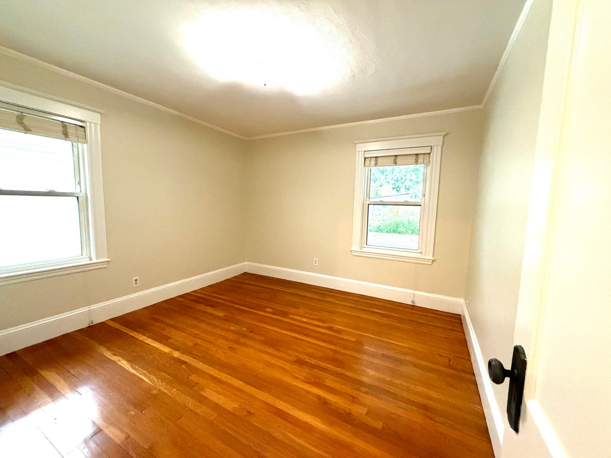 159 Willow St #2, Boston, MA, 159 Willow St #2, Boston, MA Photo #7