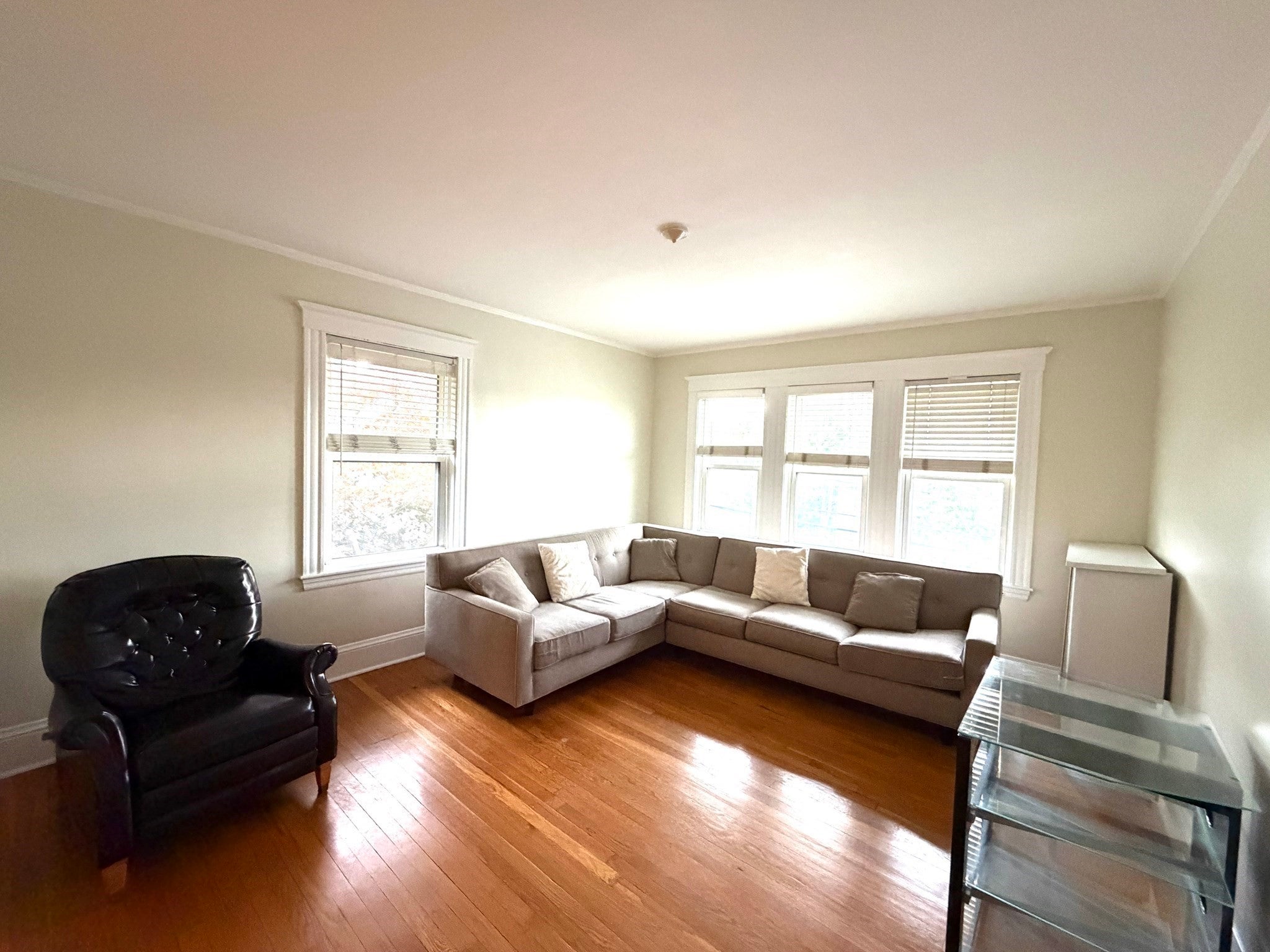159 Willow St #2, Boston, MA, 159 Willow St #2, Boston, MA Photo #4