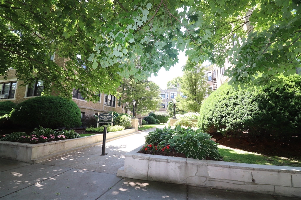 122 Babcock St #24, Brookline, MA, 122 Babcock St #24, Brookline, MA Photo #14