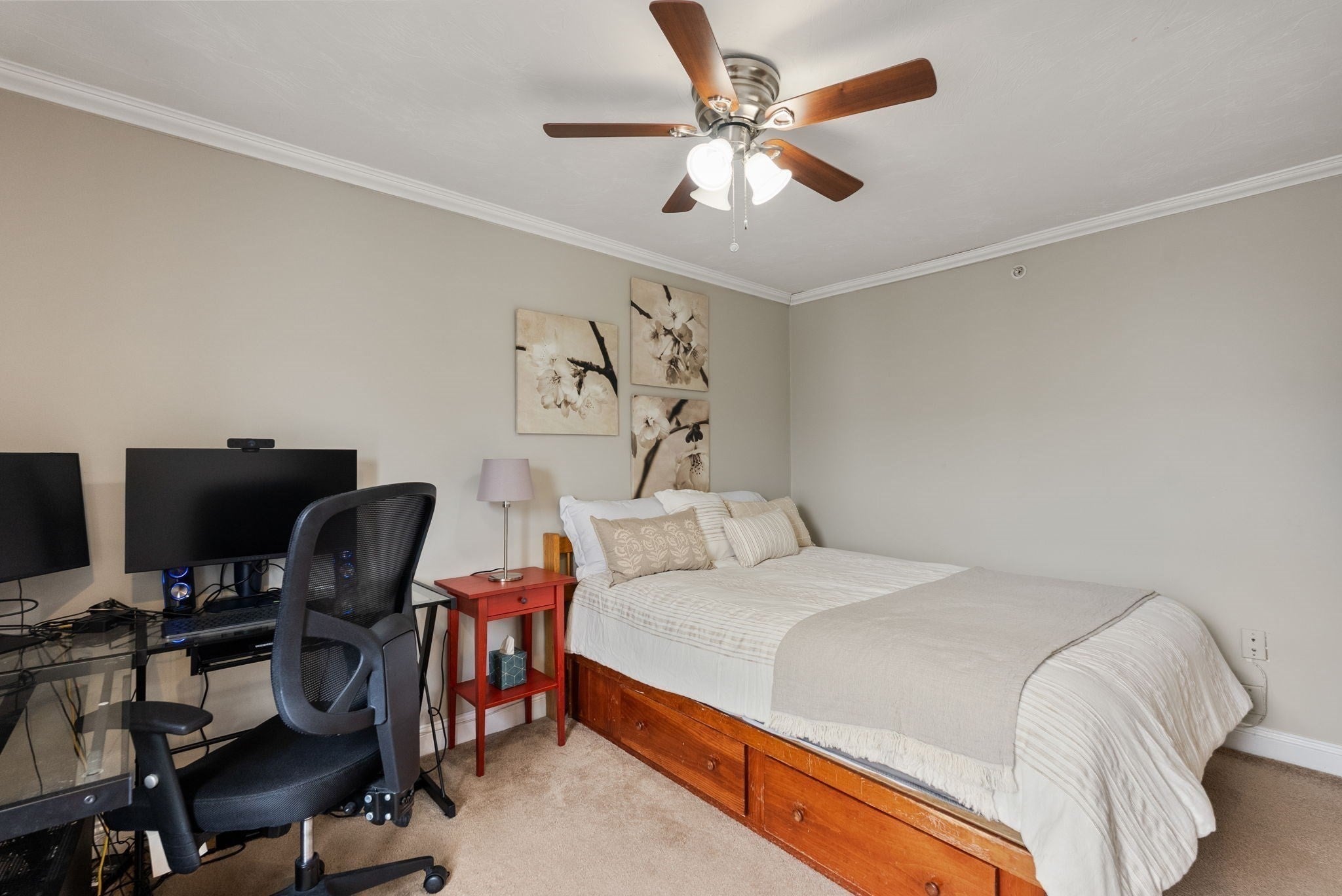16 Westminster Ave #B2, Boston, MA, 16 Westminster Ave #B2, Boston, MA Photo #17