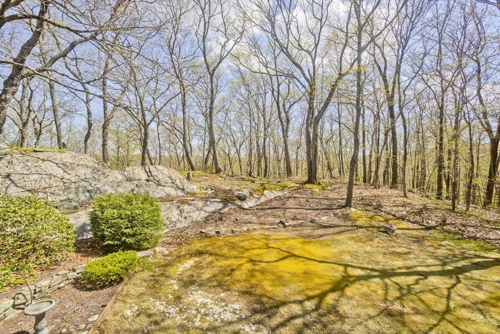7 Mount Hitchcock Rd, Wales, MA Photo #28