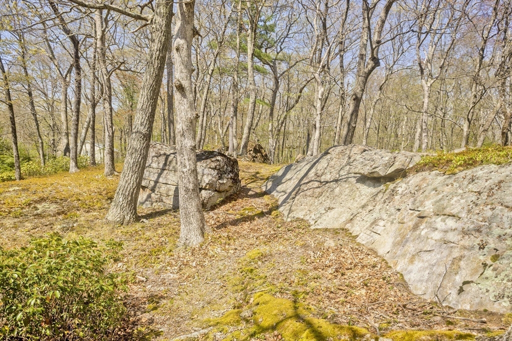 7 Mount Hitchcock Rd, Wales, MA Photo #31