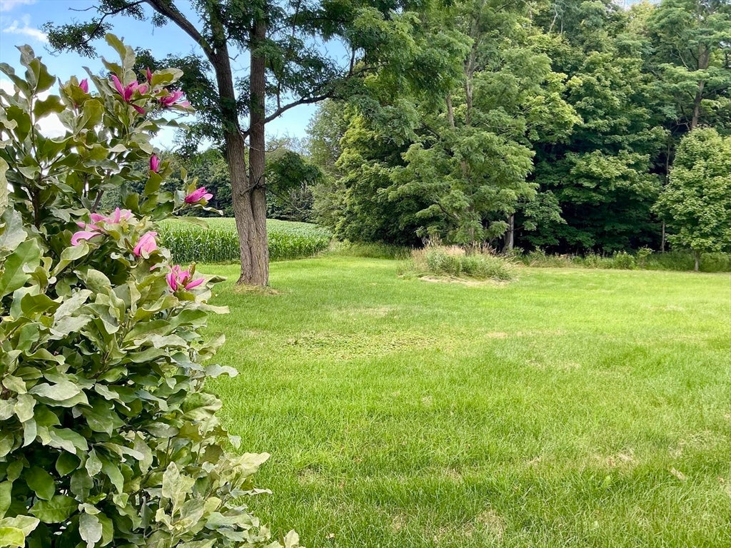 238 Briar Hill Rd, Ashfield, MA Photo #40