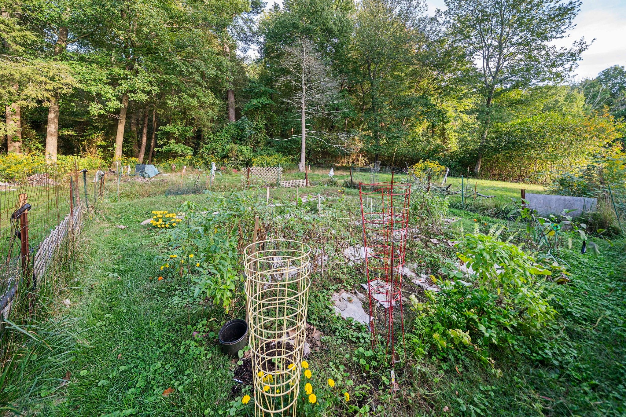 305 South Franklin St, Holbrook, MA Photo #37