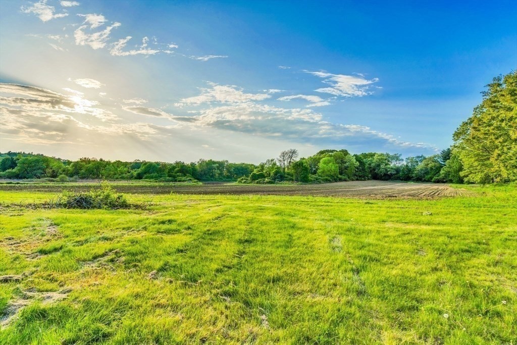 241 Shadyside Avenue