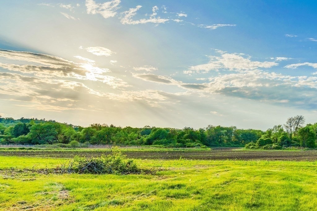 241 Shadyside Avenue