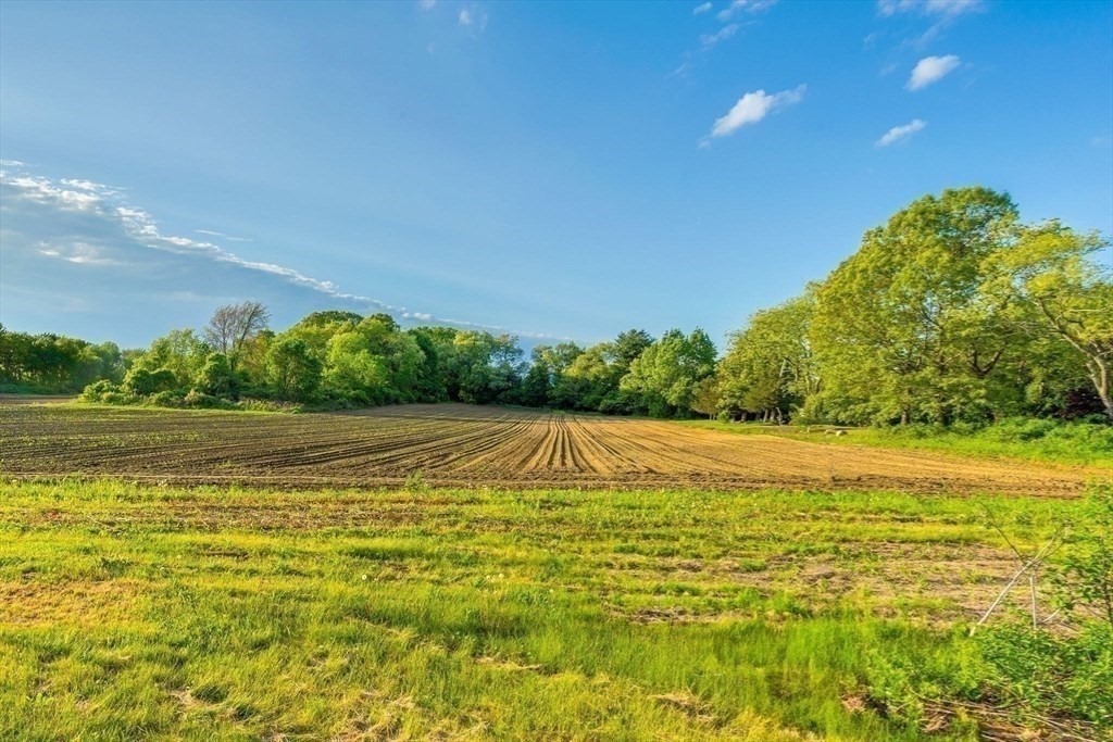 241 Shadyside Avenue