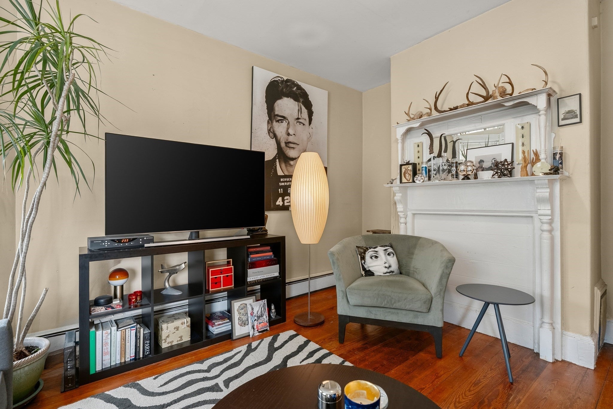 177 Chestnut Avenue, Boston, MA, 177 Chestnut Avenue, Boston, MA Photo #4