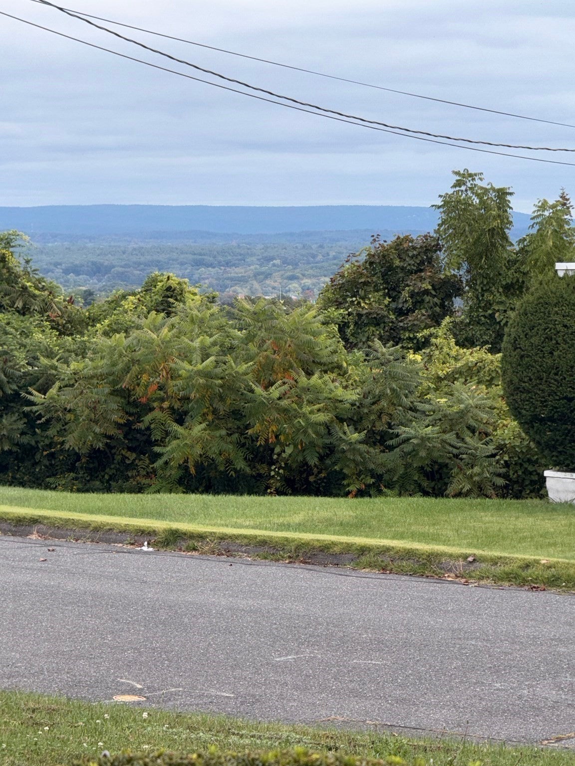 171 Huron Ave, Holyoke, MA, 171 Huron Ave, Holyoke, MA Photo #5