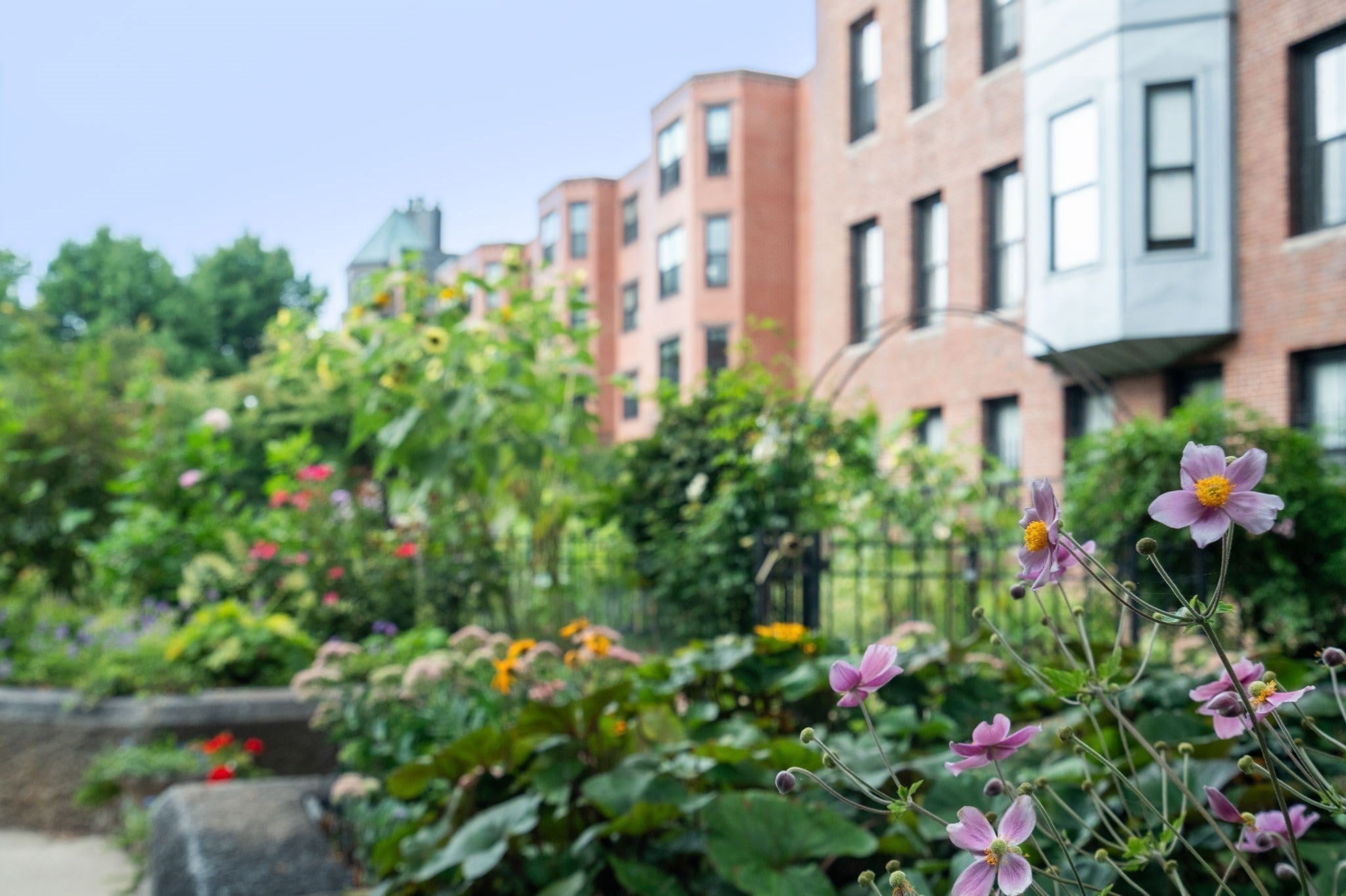 209 W Canton St #3, Boston, MA, 209 W Canton St #3, Boston, MA Photo #23