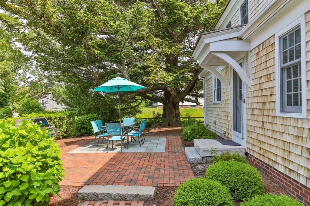 51 Shattuck Place