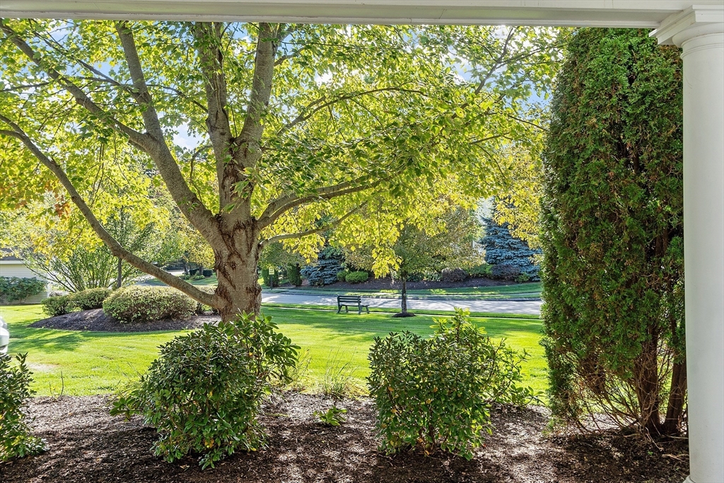1117 Emerald Court 1117