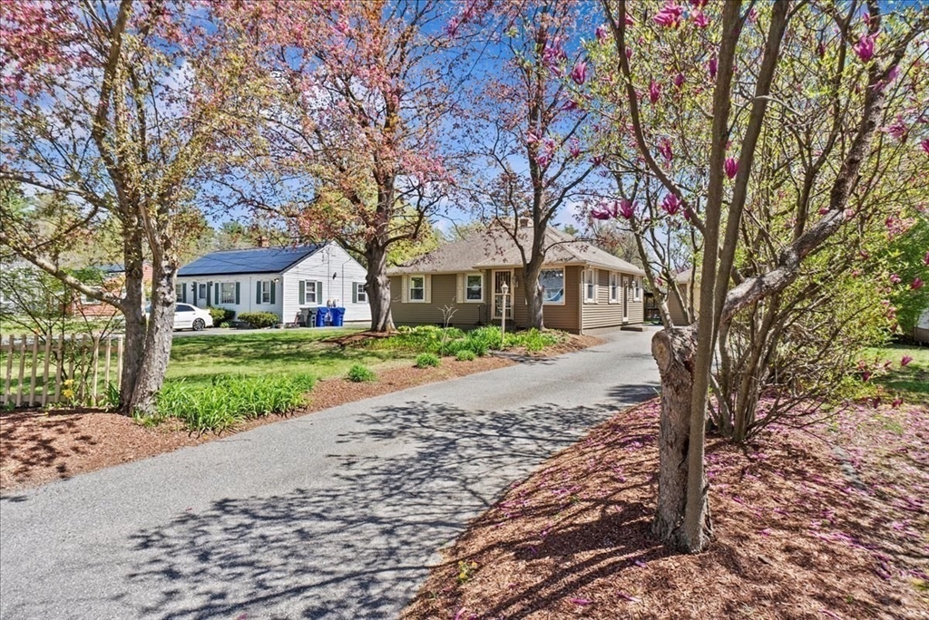 Springfield, Massachusetts 01119, United States, 3 Bedrooms Bedrooms, ,2 BathroomsBathrooms,Residential,Pending,119118