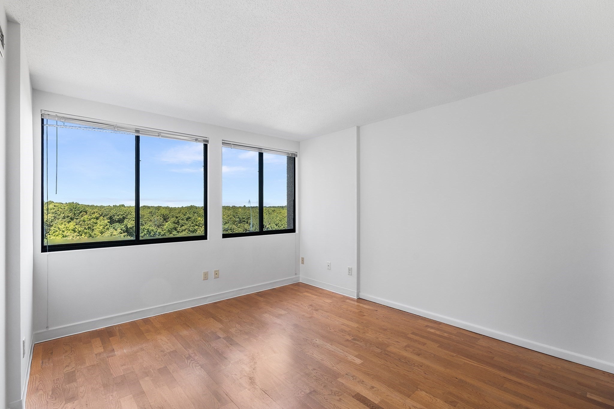 250 Hammond Pond Pkwy 1006N, Newton, MA, 250 Hammond Pond Pkwy 1006N, Newton, MA Photo #19