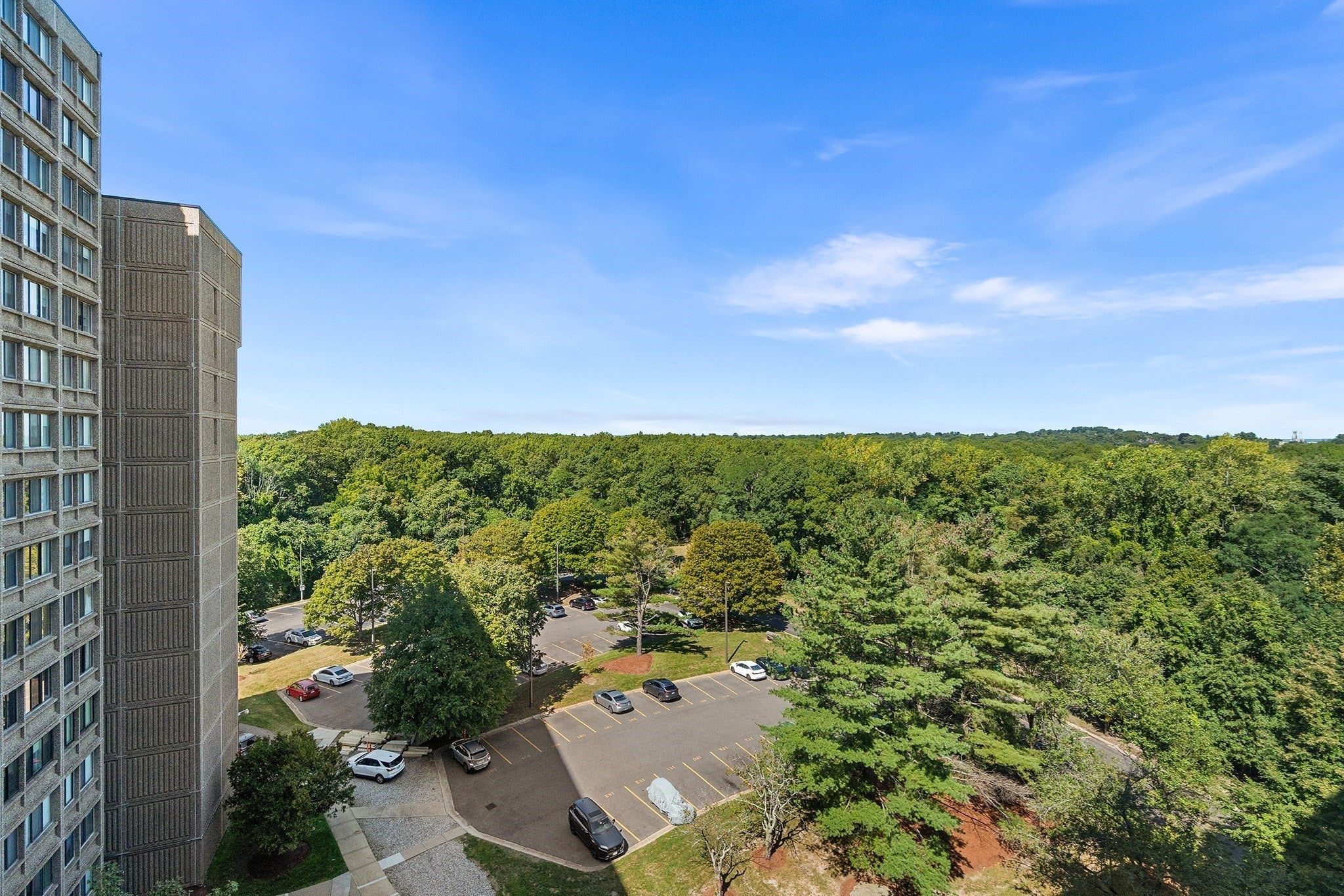 250 Hammond Pond Pkwy 1006N, Newton, MA, 250 Hammond Pond Pkwy 1006N, Newton, MA Photo #38